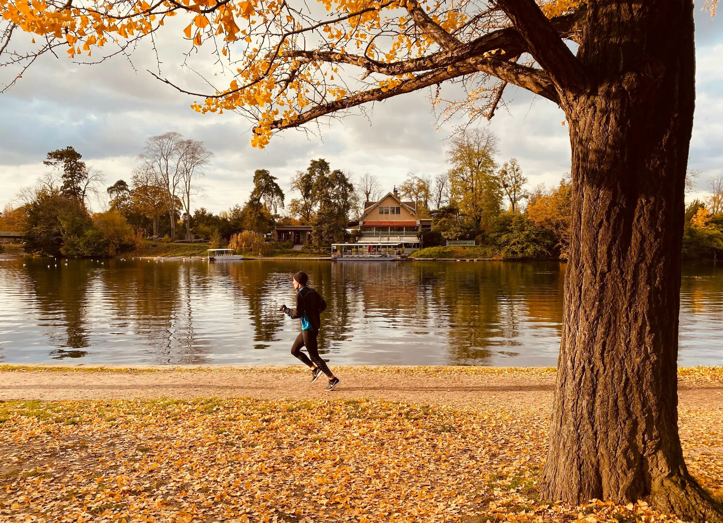 A runner on a lakeside path under an autumn tree