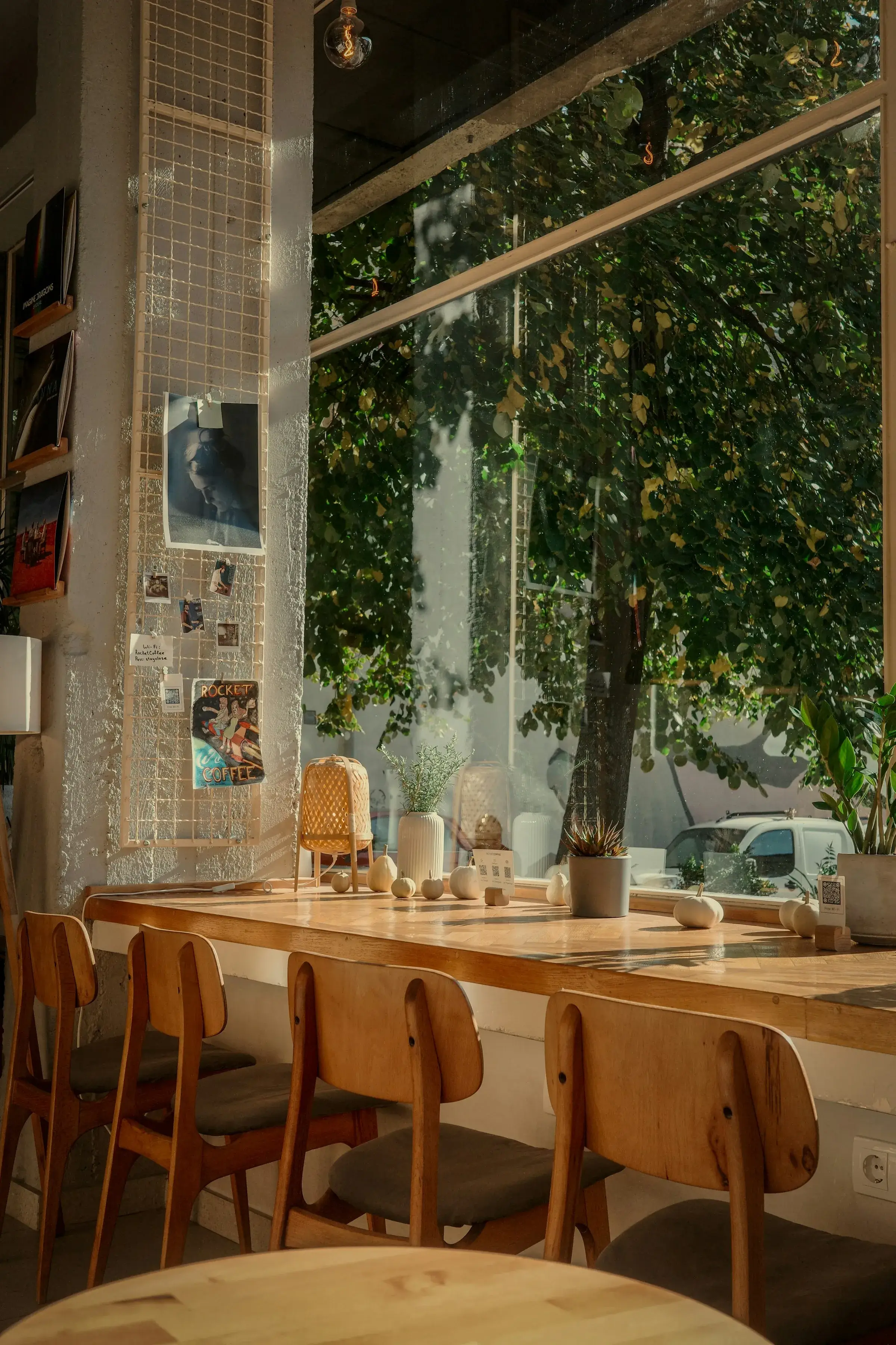A bright café interior with wooden tables, large windows and a tree